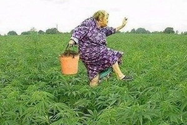 Кракен зеркало 2025