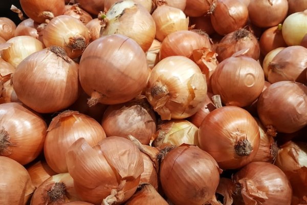 Сайт кракен официальный ссылка onion
