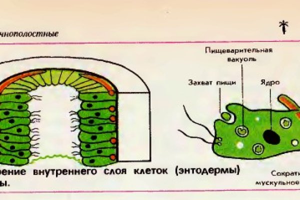 Кракен площадка вход