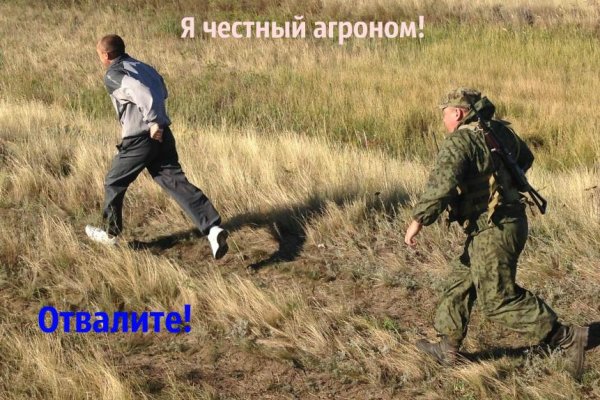 Кракен без впн