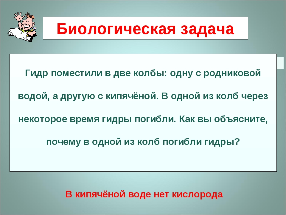 Kra49.at