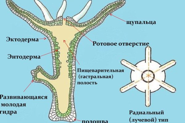 Как зайти на кракен браузеры