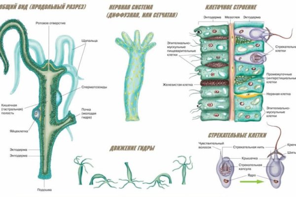 Актуальные ссылки кракен 2025