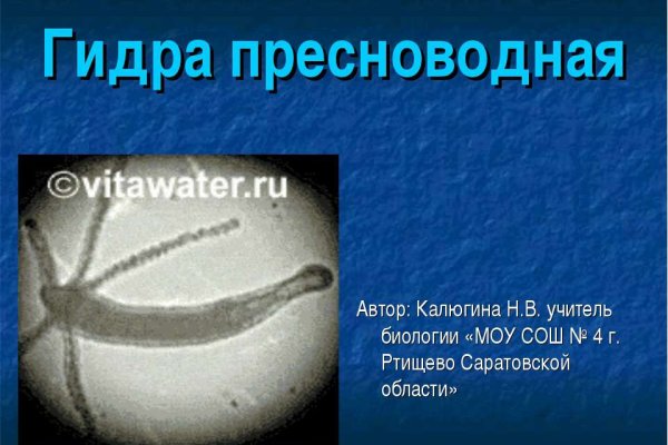 Через какой браузер можно зайти на кракен