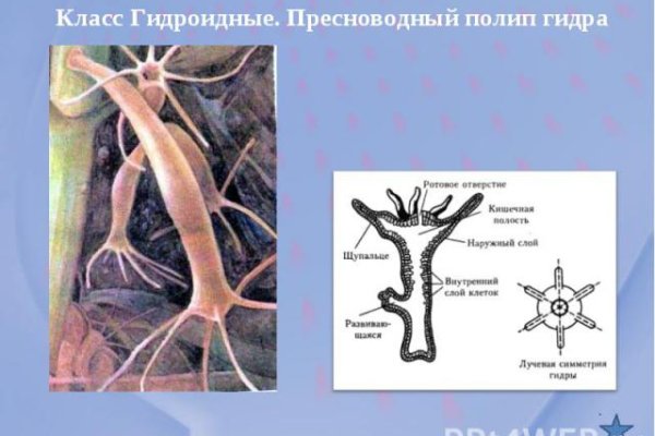 Кракен ссылка gigageek ru