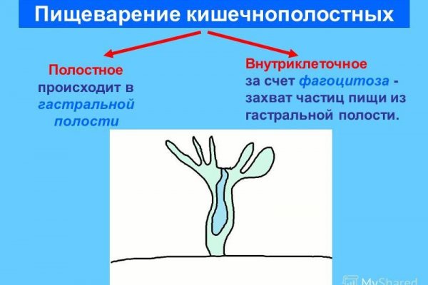 Ссылки на даркнет